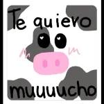 Eres mi persona favorita