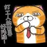 白爛貓45☆打工仔☆