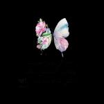 من قلبي اجمل
تحية