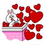 صور بنات كيوت 