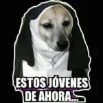 memes 