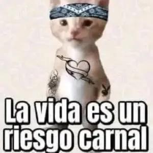 La vida es un riesgo carnal - getsticker.com