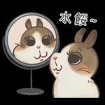 邦妮蓓蓓的日常生活