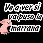 akdkdj
