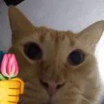 Animais com Emoji de Flor 🌹