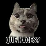 Cuando veo a un alto, barbudo y que huele rico