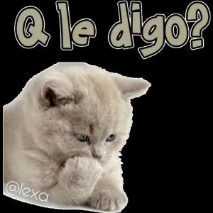 8VjhSl
