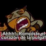  @AloneDroid MXKOTA69OH COTORREA!!!