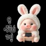 พิกกี้บูบี้น่ารักมาก