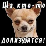 Гавкнуть что ли...