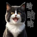 超可愛的黑白貓