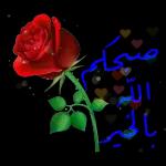 صباح الخير 