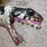 Haha