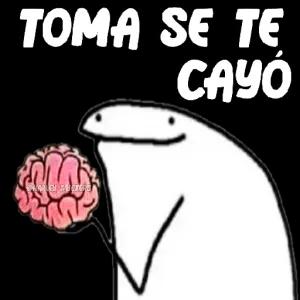 TOMA SE TE CAYO આરણ કલ HARLEY STICKERS - getsticker.com