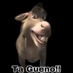 BUENOS DIAS!!