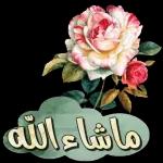 بيض الله وجهك ماقصرت جزاك الله خيراً ورحم الله والديك