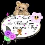 Verschiedene Arten von Aufklebern👇🏻