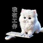白色的貓尤其可愛