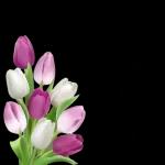 مني لكمع حبي