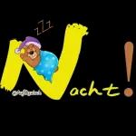 Heute Abend gehören die Sterne dir🌟