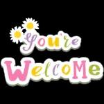 𝑴𝒊𝒙𝒙𝒆𝒅