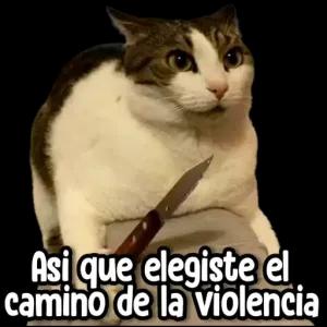Asi que elegiste el camino de la violencia - getsticker.com