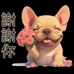 傻萌小法鬥