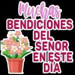 Que el dia de hoy sea de muchas bendiciones
