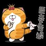 白爛貓11☆超級萌☆