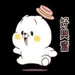 猫咪朋友笑一个
