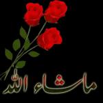 اپنی حد سے آگے مت بڑھو