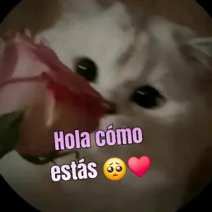 2qCQ27