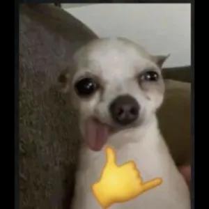 sS1lgD
