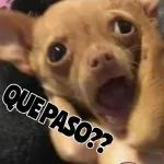 Ya déjame la guachafita