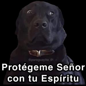 7ihRDf
