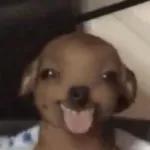 RARO