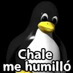 chavo 