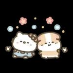 Hello Kitty 50週年 x 天竺鼠布丁 溫暖日常