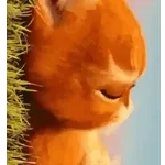 gatitos