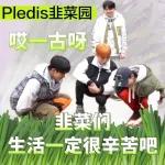 seventeen表情管理2 :: @fStikBot