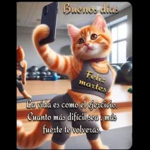 eU5Al5