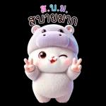 แมวฮิปโปสุดน่ารัก : คุยกันทุกวัน(BIG)