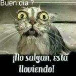jorge 4