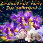 соль