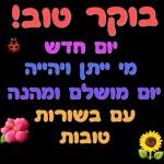 הורדה חינם, עדכונים יומיים, אין צורך בכניסה