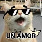 amormio