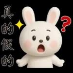 可愛白兔 夏日常實用問候