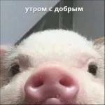доброго утра