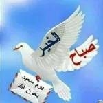 ماشاء الله
لاقوة إلا بالله