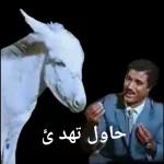 الو مكافحة الحمير؟